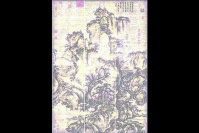 楊冕4年磨一劍 CMYK測(cè)試圖像的安全性,呂澎,畢加索,楊冕