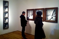 層疊冰綃 對畫空間2013開年展揭幕,趙力,董鶴,盧曦,劉夏,李威,趙亞南,彭瑋,陳皎,蔣雨,羅薔