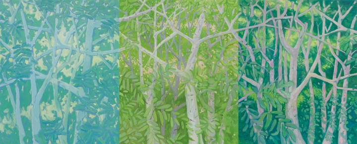  《白樹林》，布面油畫，230X190 cm X3，2013
