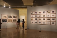 第二屆中國油畫學(xué)會(huì)雙年展 思想“在場”,劉小東,詹建俊,吳大羽,王煥青,張晴,范迪安,毛旭輝,許江,尚揚(yáng),楊參軍