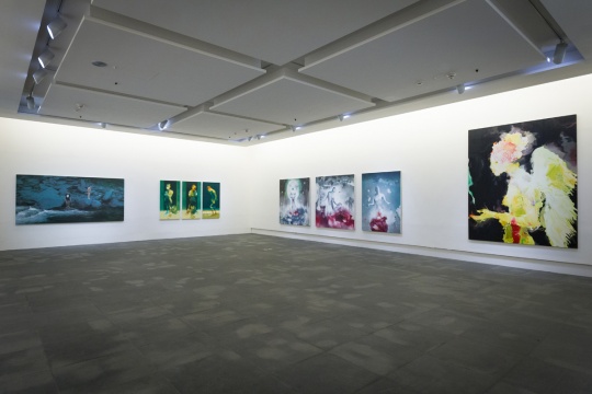 展覽現(xiàn)場

