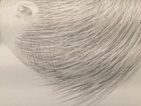 素描作品細節(jié)
