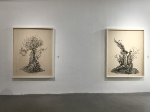 曾小俊 2015年水墨設(shè)色紙本作品《小孤山館藏盆景》系列
