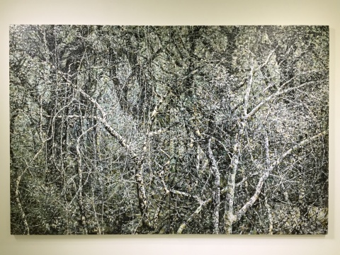 曼古?普特拉作品《Wilderness》，色彩簡單，陰郁朦朧
