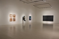 香格納北京群展 夏日冰鎮(zhèn)酸梅汁,楊福東,蔣鵬奕,劉唯艱,申凡,唐茂宏,陳曉云,沒頂公司,張恩利,周鐵海,楊振中