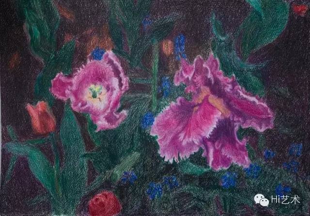 ?周春芽 《紫色郁金香》35.5x40.6 cm 彩色鉛筆 紙 2015