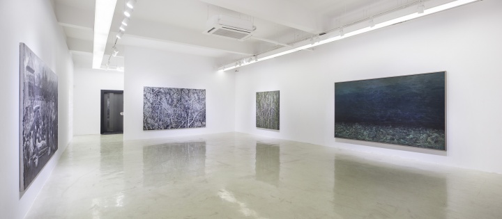 ”亞洲社會現(xiàn)實(shí)主義1.無妄島”展覽現(xiàn)場
