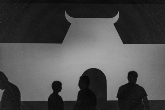《空城計(jì)》尺寸可變 大型人工影像互動(dòng)裝置 8'18''  2017
