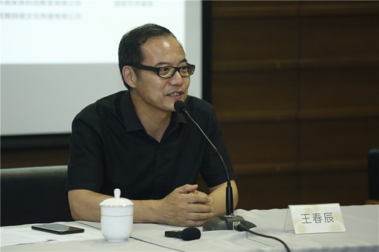  中央美術學院美術館副館長王春辰