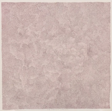 杜婕 2018 20180127-0216 68*68cm 宣紙水墨
杜婕 2018 20180127-0216 68*68cm 宣紙水墨