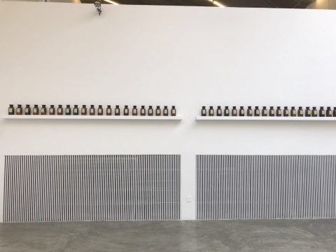 安東尼·蒙塔達(dá)斯 《轉(zhuǎn)譯：藥丸》，2006-2014
