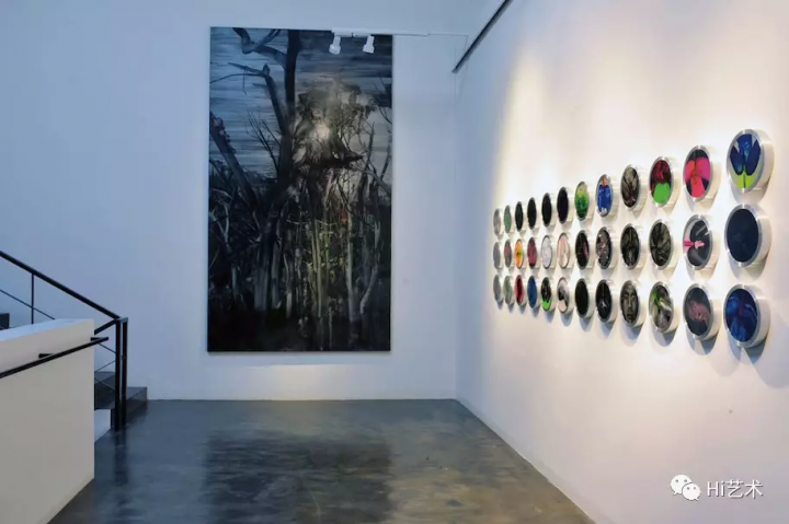 2008年7月，黃宇興的首次個(gè)展“改變中的生命史”在上海紅橋畫(huà)廊
