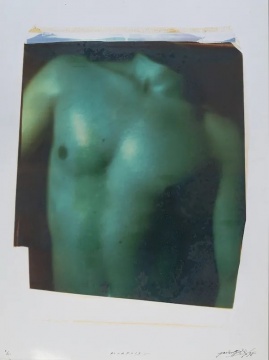 選自L系列 60 x 50 cm 寶麗來 1997
