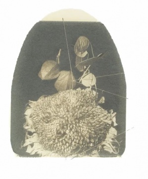 選自干花系列 50 x 35 cm  由黑白寶麗來轉(zhuǎn)印至畫紙 1997
