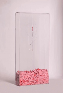 《36cm & 2mm》視頻衍生裝置，86x41x11cm，取卵針、氣球、亞克力，2021
