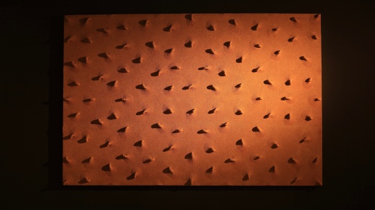 生命的型狀——局, 布面油畫，膠管, 300cmx200cmx10cm, 2017 
