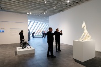 隋建國率四位青島籍藝術(shù)家，將“以夢為馬”綻放于青島云上海天！,魏青吉,于凡,臧坤坤,劉文濤,隋建國