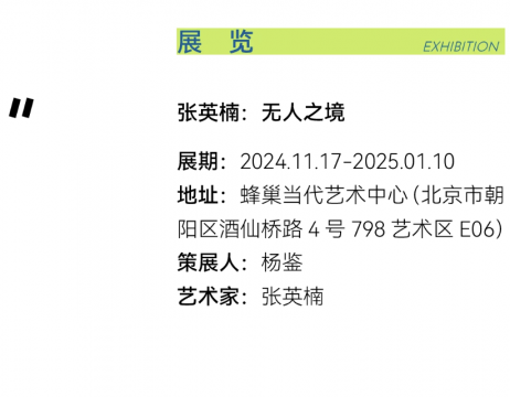 張英楠 反作用力更具張力 張英楠 反作用力更具張力