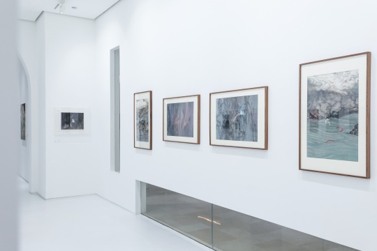 林于思個(gè)展“采大藥”，呈現(xiàn)現(xiàn)代化環(huán)境下的避世仙境