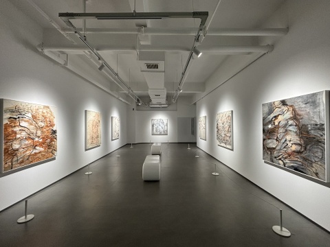 「大象循形——徐善循藝術(shù)展」在墨谷美術(shù)館開幕