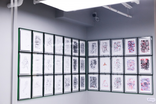 「大象循形——徐善循藝術(shù)展」在墨谷美術(shù)館開幕